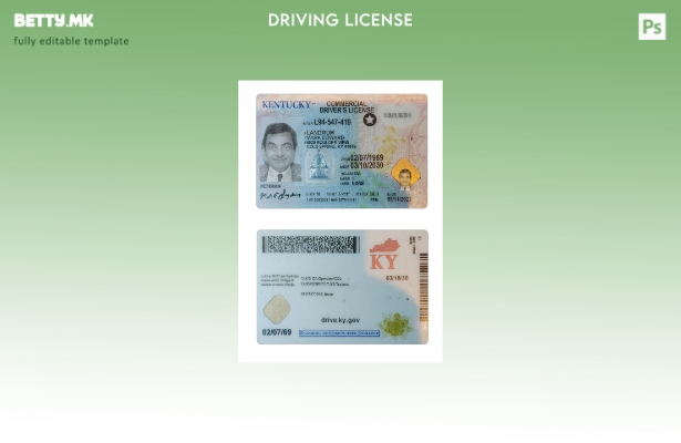 Модерен стил присутен шаблон за возачка дозвола во САД Кентаки 1